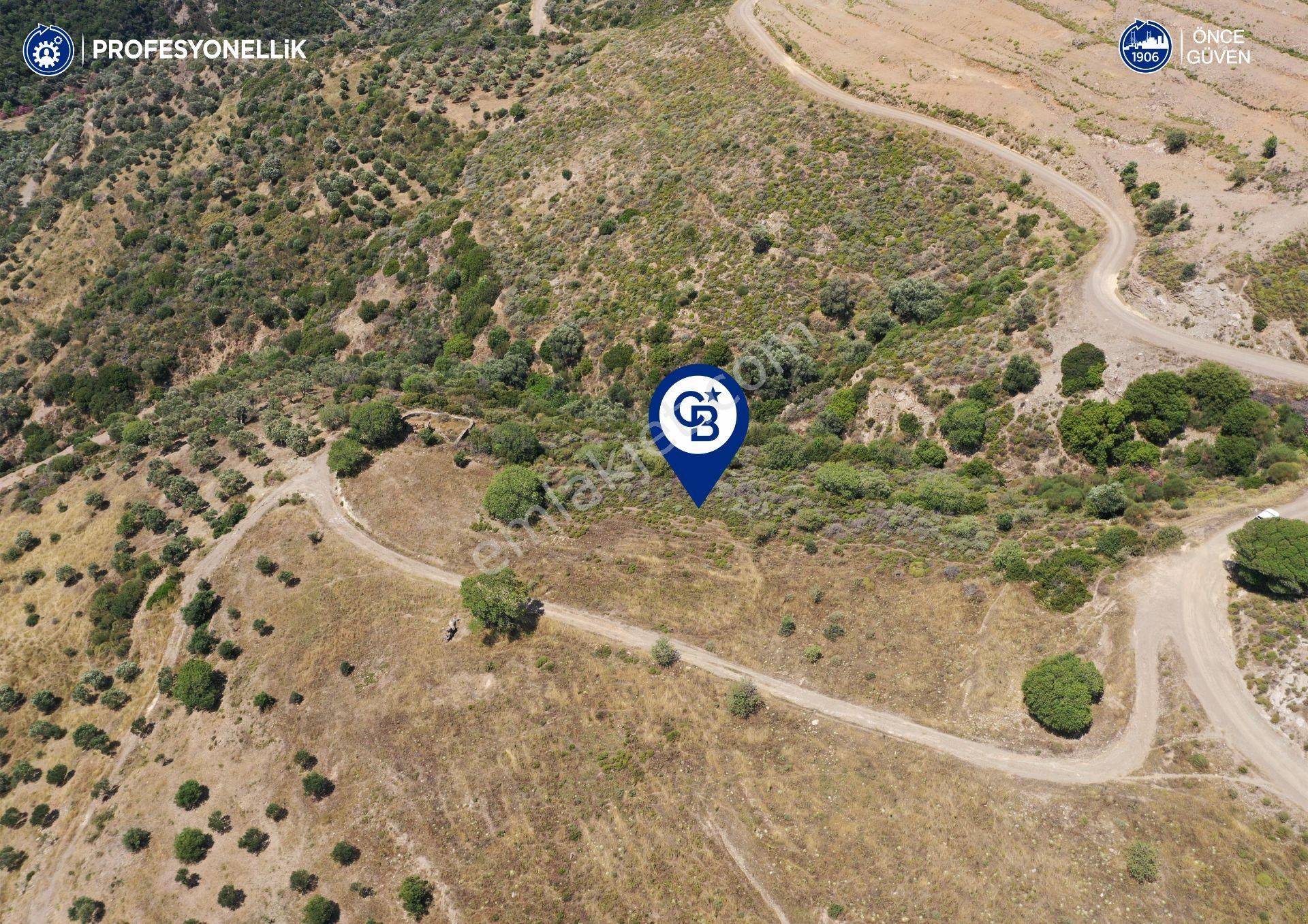 Karaburun Sarpıncık'ta 9.125 M² Tarla - Görsel 8