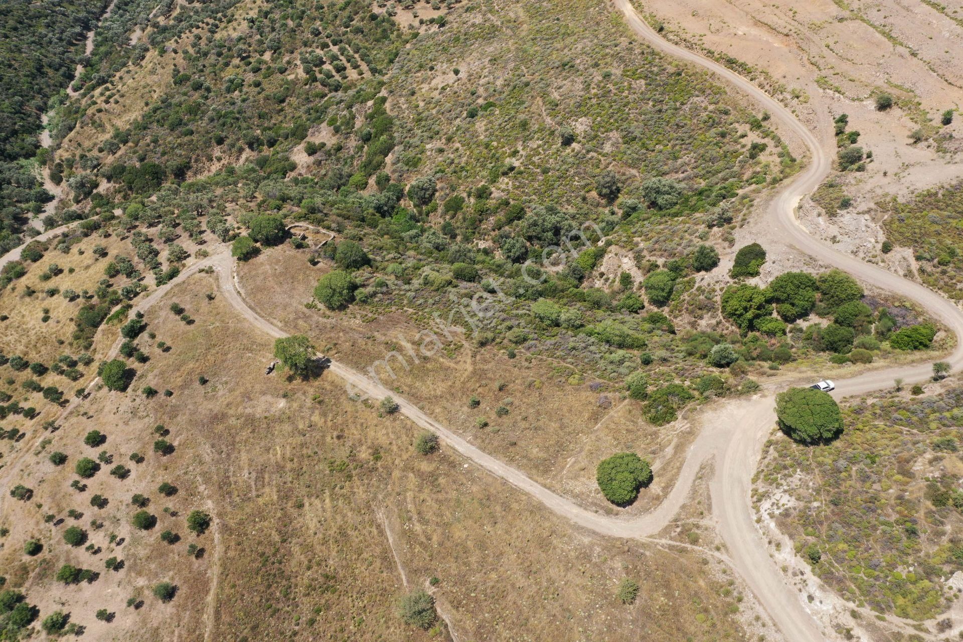 Karaburun Sarpıncık'ta 9.125 M² Tarla - Görsel 7