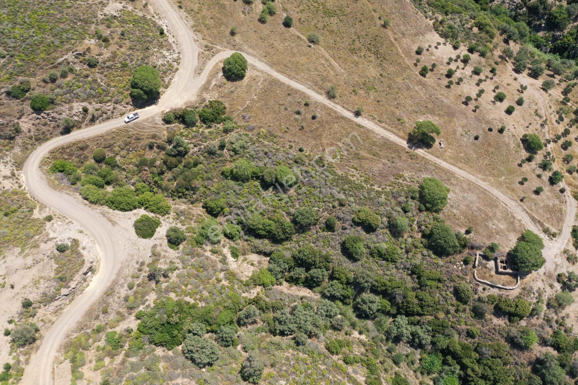 Karaburun Sarpıncık'ta 9.125 M² Tarla - Görsel 11