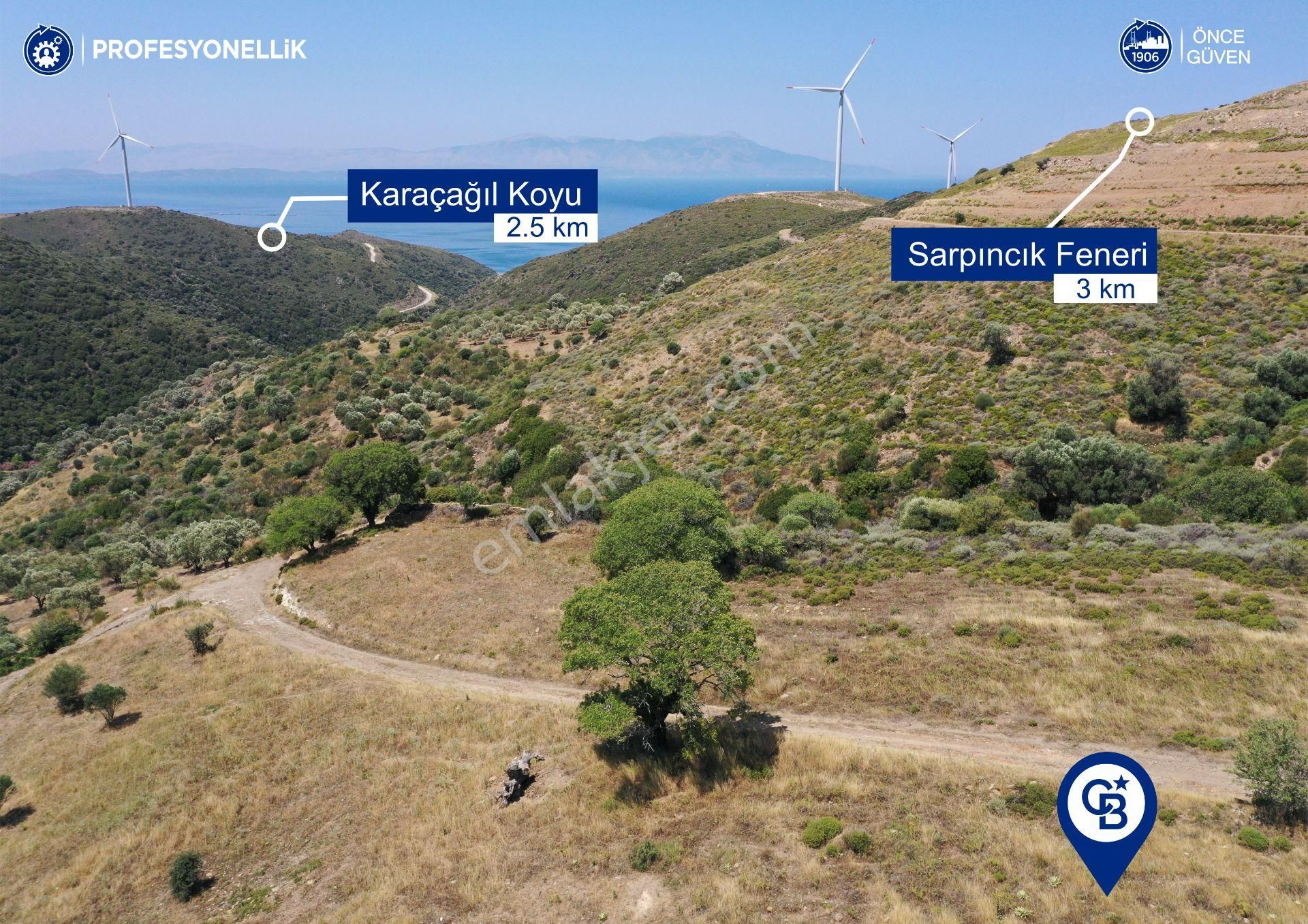 Karaburun Sarpıncık'ta 9.125 M² Tarla - Görsel 6