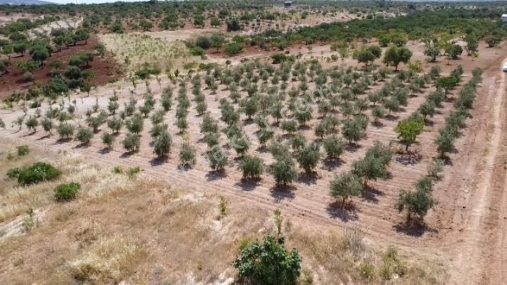 Oğuzeli Şahinbey Satılık Tarla Körkün'de Yatırımlık Uygun İmara Yakın Arazi