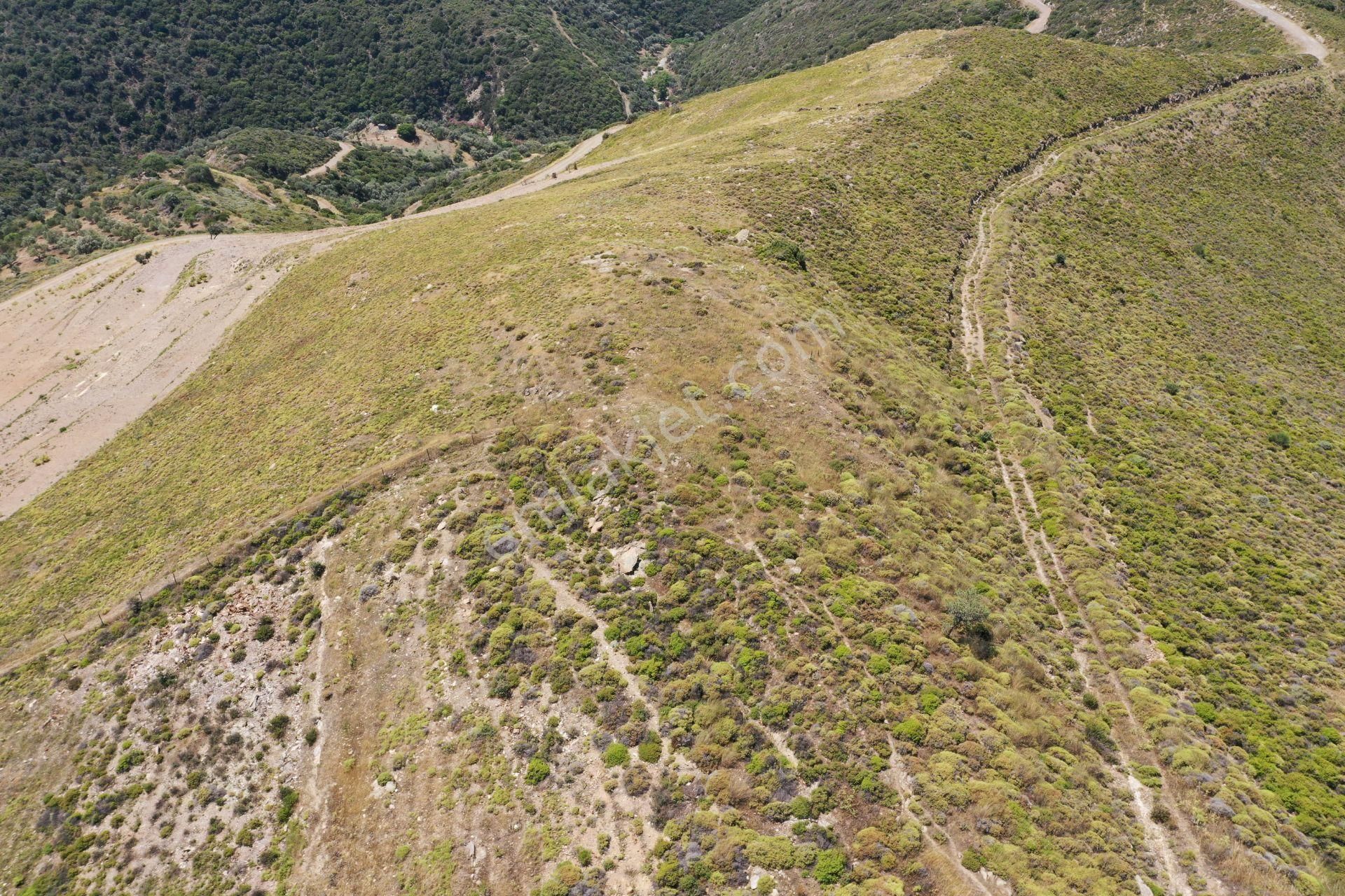 Karaburun Sarpıncık'ta 6.500 M² Tarla - Görsel 12