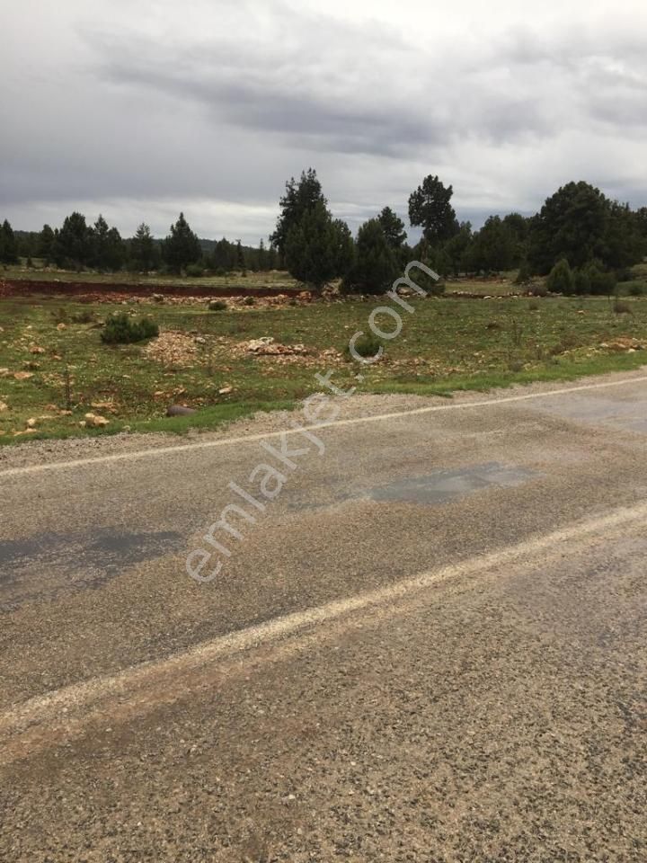 Yaylalık Güneyli Mah 620 M2 Asfalt Yola Sıfır Tarla Erdemli - Görsel 10