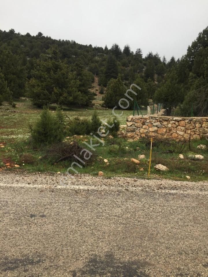 Yaylalık Güneyli Mah 620 M2 Asfalt Yola Sıfır Tarla Erdemli - Görsel 14