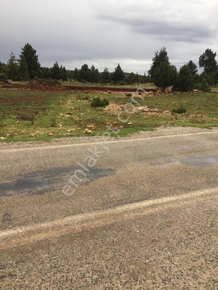 Yaylalık Güneyli Mah 620 M2 Asfalt Yola Sıfır Tarla Erdemli - Görsel 11