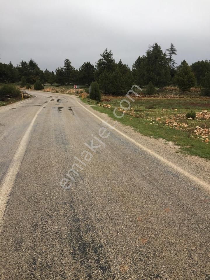 Yaylalık Güneyli Mah 620 M2 Asfalt Yola Sıfır Tarla Erdemli - Görsel 3