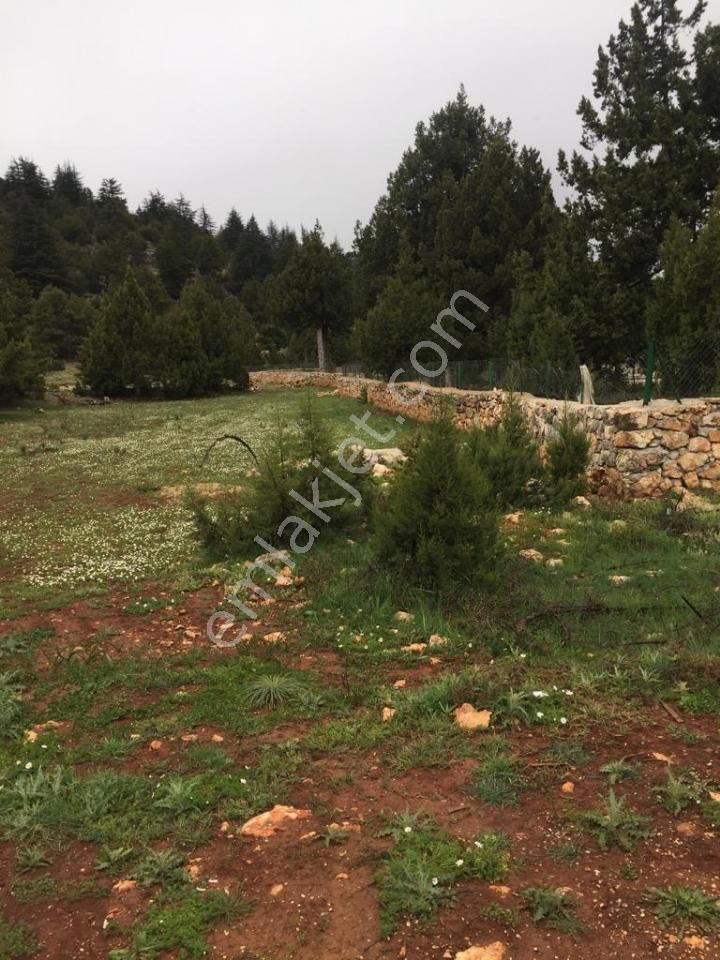 Yaylalık Güneyli Mah 620 M2 Asfalt Yola Sıfır Tarla Erdemli - Görsel 8