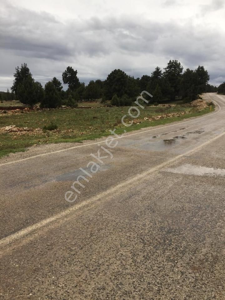 Yaylalık Güneyli Mah 620 M2 Asfalt Yola Sıfır Tarla Erdemli - Görsel 12