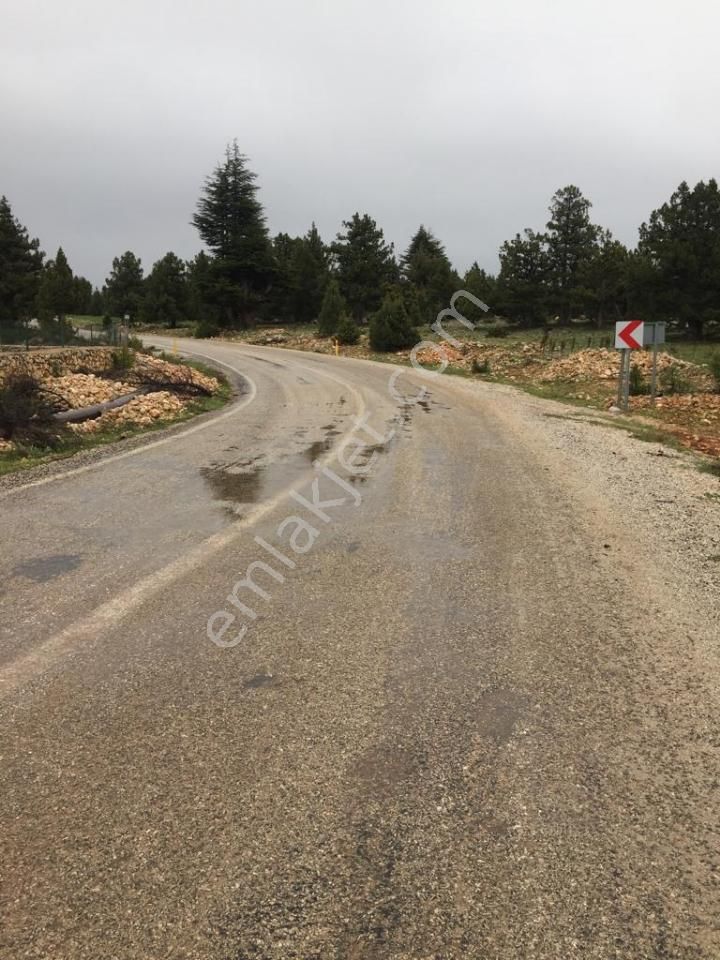 Yaylalık Güneyli Mah 620 M2 Asfalt Yola Sıfır Tarla Erdemli - Görsel 15