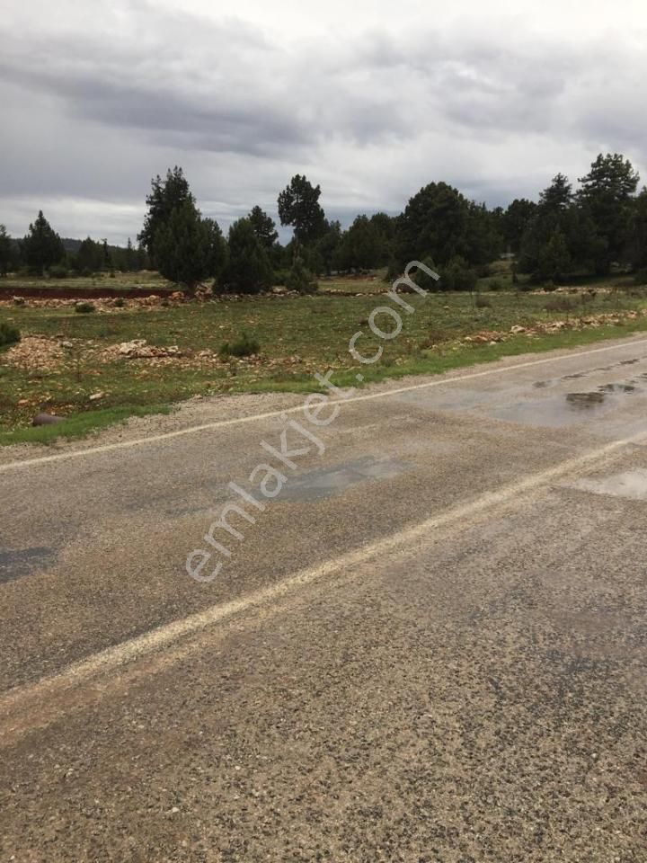 Yaylalık Güneyli Mah 620 M2 Asfalt Yola Sıfır Tarla Erdemli - Görsel 16