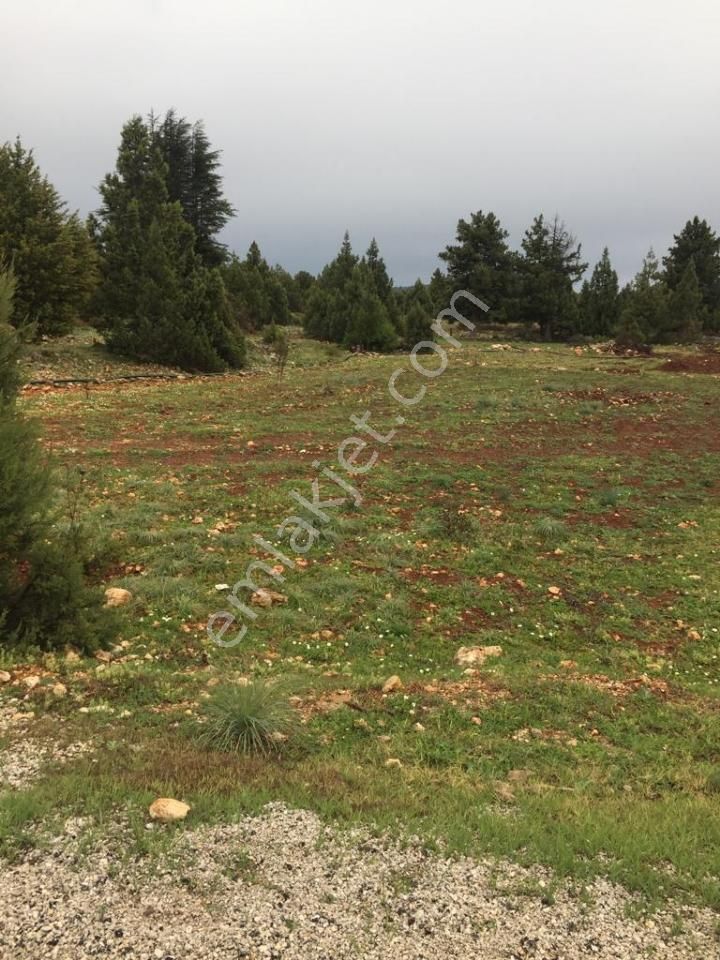 Yaylalık Güneyli Mah 620 M2 Asfalt Yola Sıfır Tarla Erdemli - Görsel 17