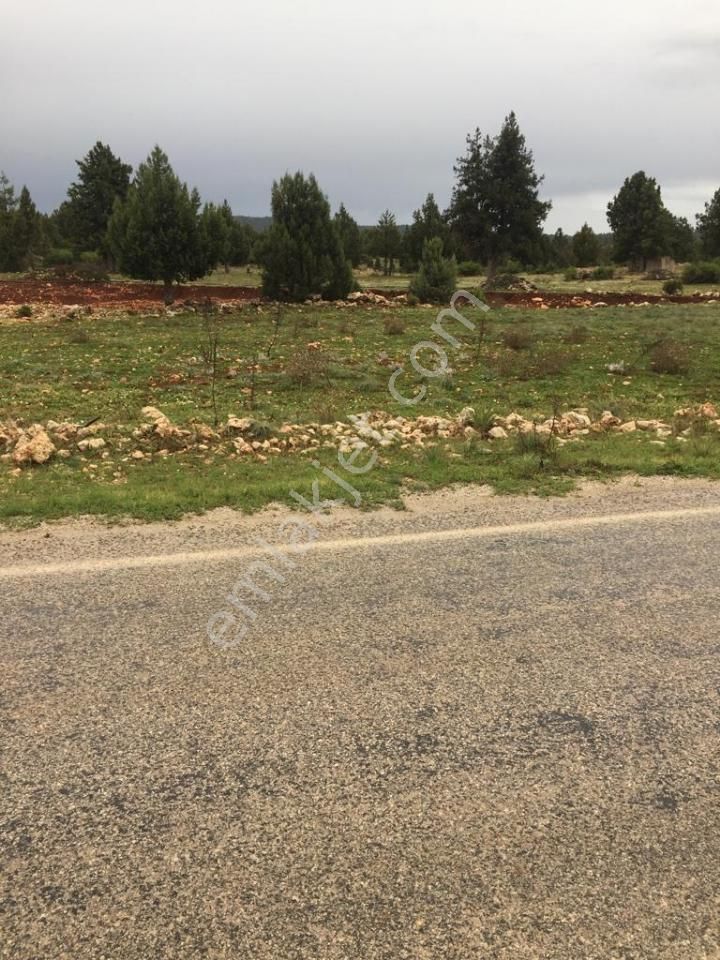 Yaylalık Güneyli Mah 620 M2 Asfalt Yola Sıfır Tarla Erdemli - Görsel 4