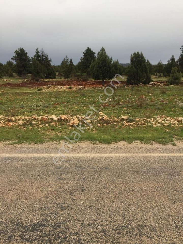 Yaylalık Güneyli Mah 620 M2 Asfalt Yola Sıfır Tarla Erdemli - Görsel 2
