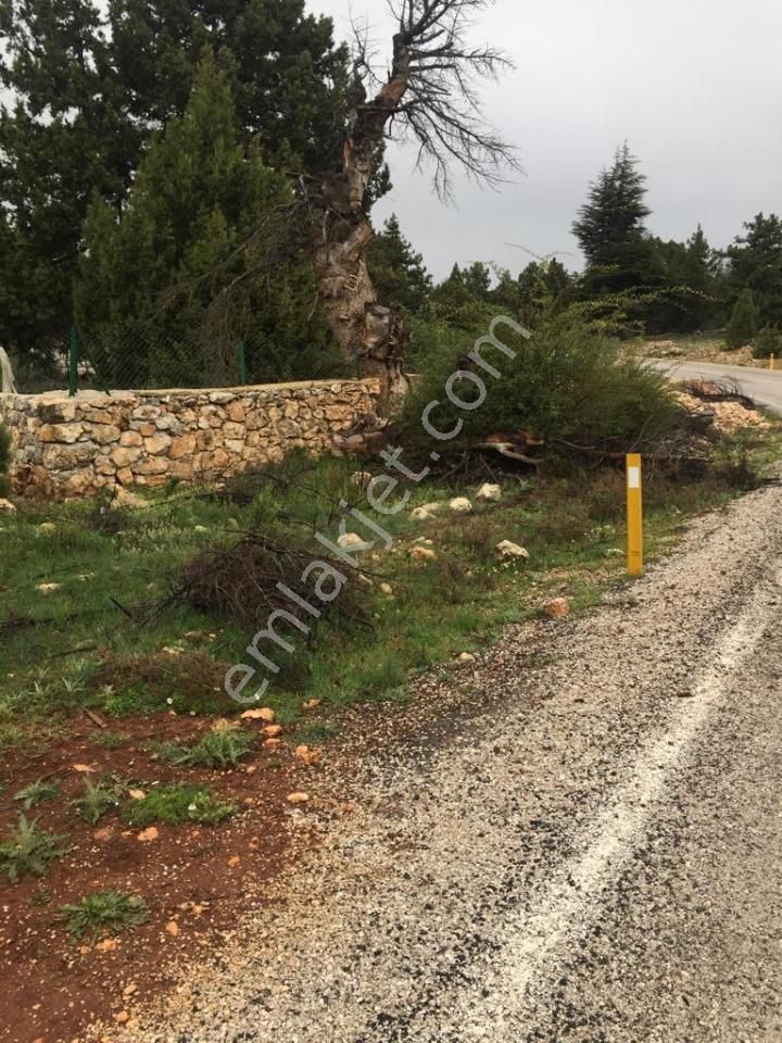 Yaylalık Güneyli Mah 620 M2 Asfalt Yola Sıfır Tarla Erdemli - Görsel 9
