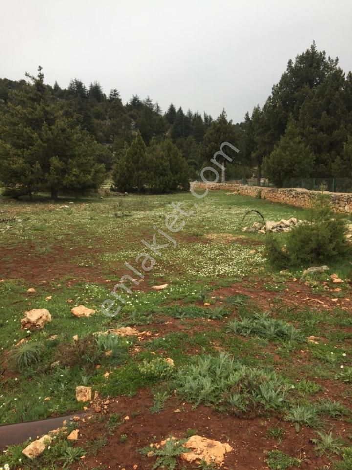 Yaylalık Güneyli Mah 620 M2 Asfalt Yola Sıfır Tarla Erdemli - Görsel 7