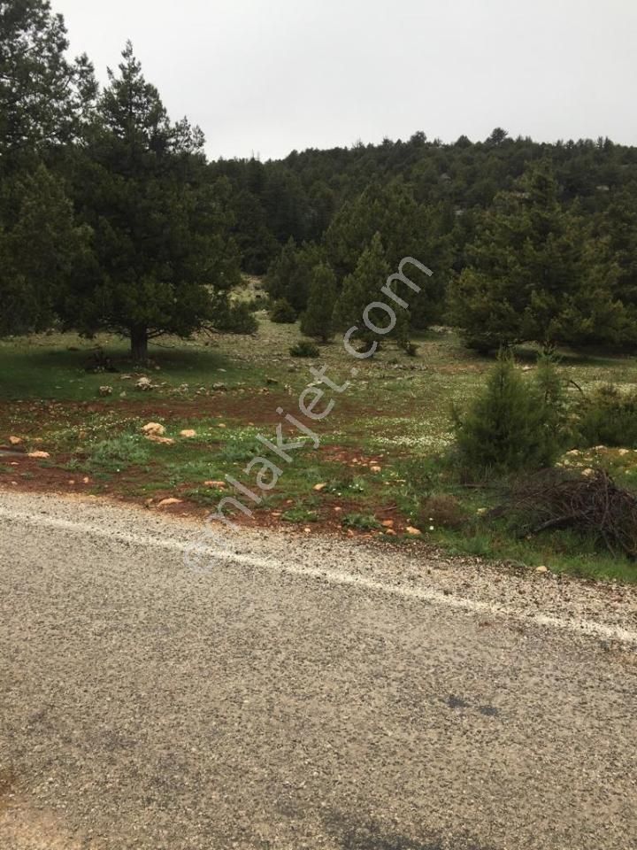 Yaylalık Güneyli Mah 620 M2 Asfalt Yola Sıfır Tarla Erdemli - Görsel 13