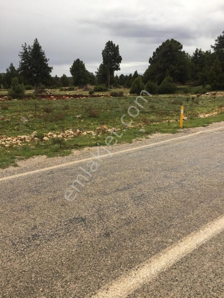 Yaylalık Güneyli Mah 620 M2 Asfalt Yola Sıfır Tarla Erdemli - Görsel 5