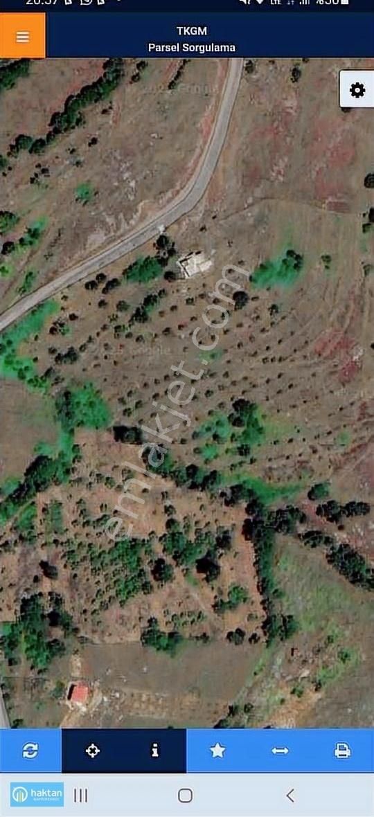 Samsun Canik Sarıbıyık 17.323 M2 Satılık Cevizlik Ve Müstakil Ev - Görsel 2