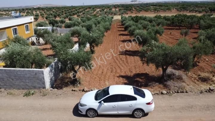 Şahinbey Yağdöver Satılık Tarla Yağdöver'de 1410 Metre Yatırıma Uygun Bağ Evlik Güzel Yer