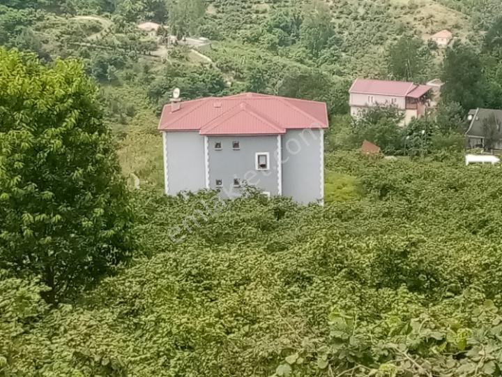 Şahinoğlu Emlaktan, Trabzon Derecik' Te, 1 Daire Fiyatına, 4,5 Dekar Fındıklık Ve 3 Katlı Villası. - Görsel 25