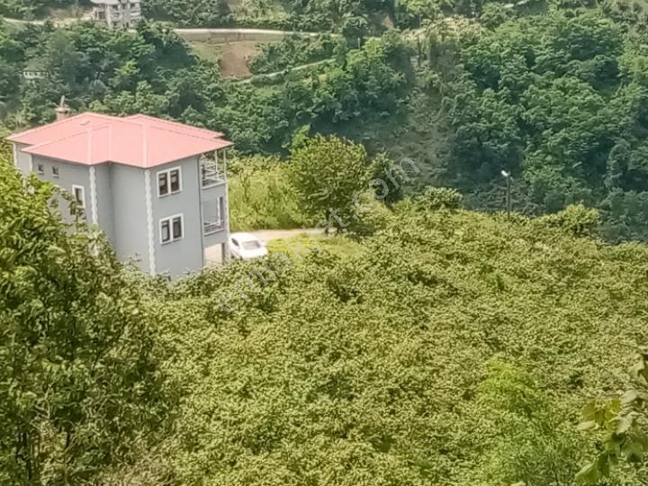 Şahinoğlu Emlaktan, Trabzon Derecik' Te, 1 Daire Fiyatına, 4,5 Dekar Fındıklık Ve 3 Katlı Villası. - Görsel 26