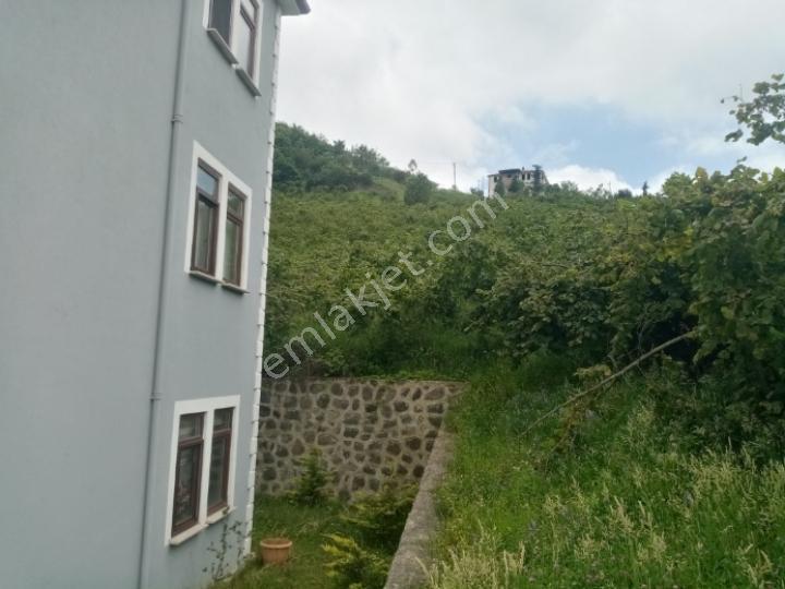 Şahinoğlu Emlaktan, Trabzon Derecik' Te, 1 Daire Fiyatına, 4,5 Dekar Fındıklık Ve 3 Katlı Villası. - Görsel 5