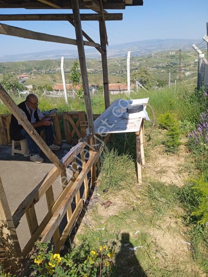 Sahibinden Çamlık Yanı Hazır Bahçe - Görsel 17