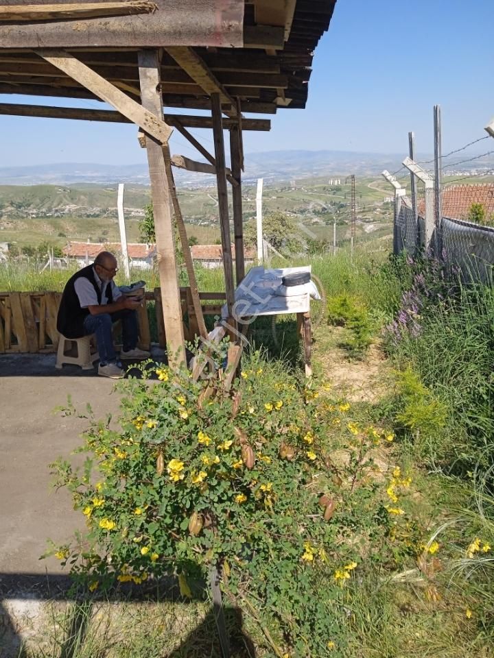 Sahibinden Çamlık Yanı Hazır Bahçe - Görsel 18