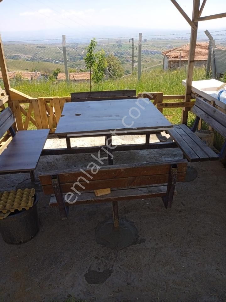 Sahibinden Çamlık Yanı Hazır Bahçe - Görsel 14