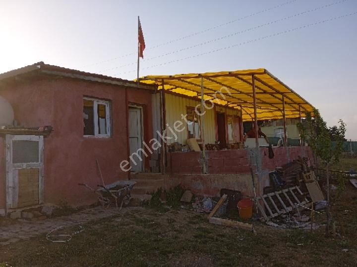 Sahibinden Çamlık Yanı Hazır Bahçe - Görsel 5