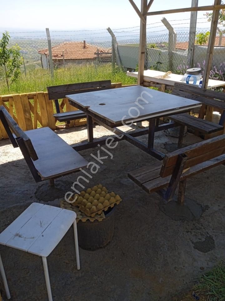 Sahibinden Çamlık Yanı Hazır Bahçe - Görsel 13