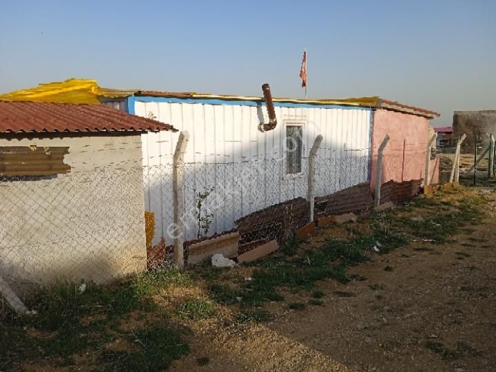 Sahibinden Çamlık Yanı Hazır Bahçe - Görsel 11