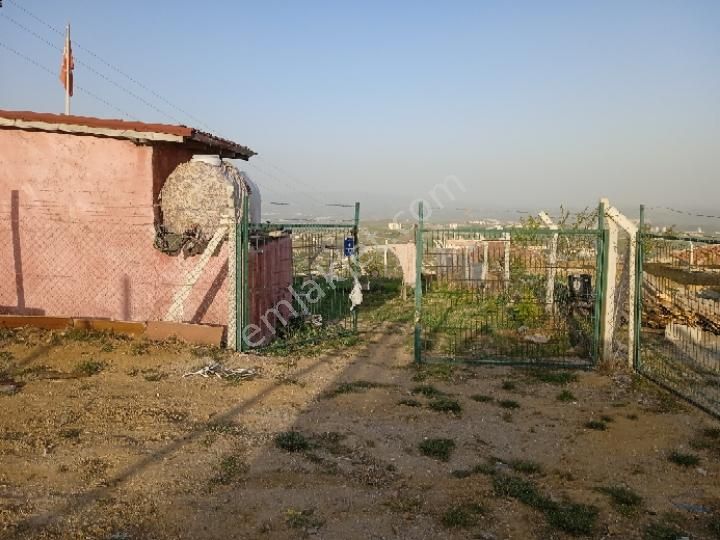 Sahibinden Çamlık Yanı Hazır Bahçe - Görsel 10