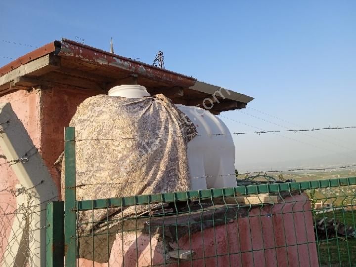 Sahibinden Çamlık Yanı Hazır Bahçe - Görsel 8