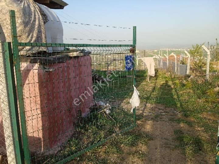 Sahibinden Çamlık Yanı Hazır Bahçe - Görsel 9