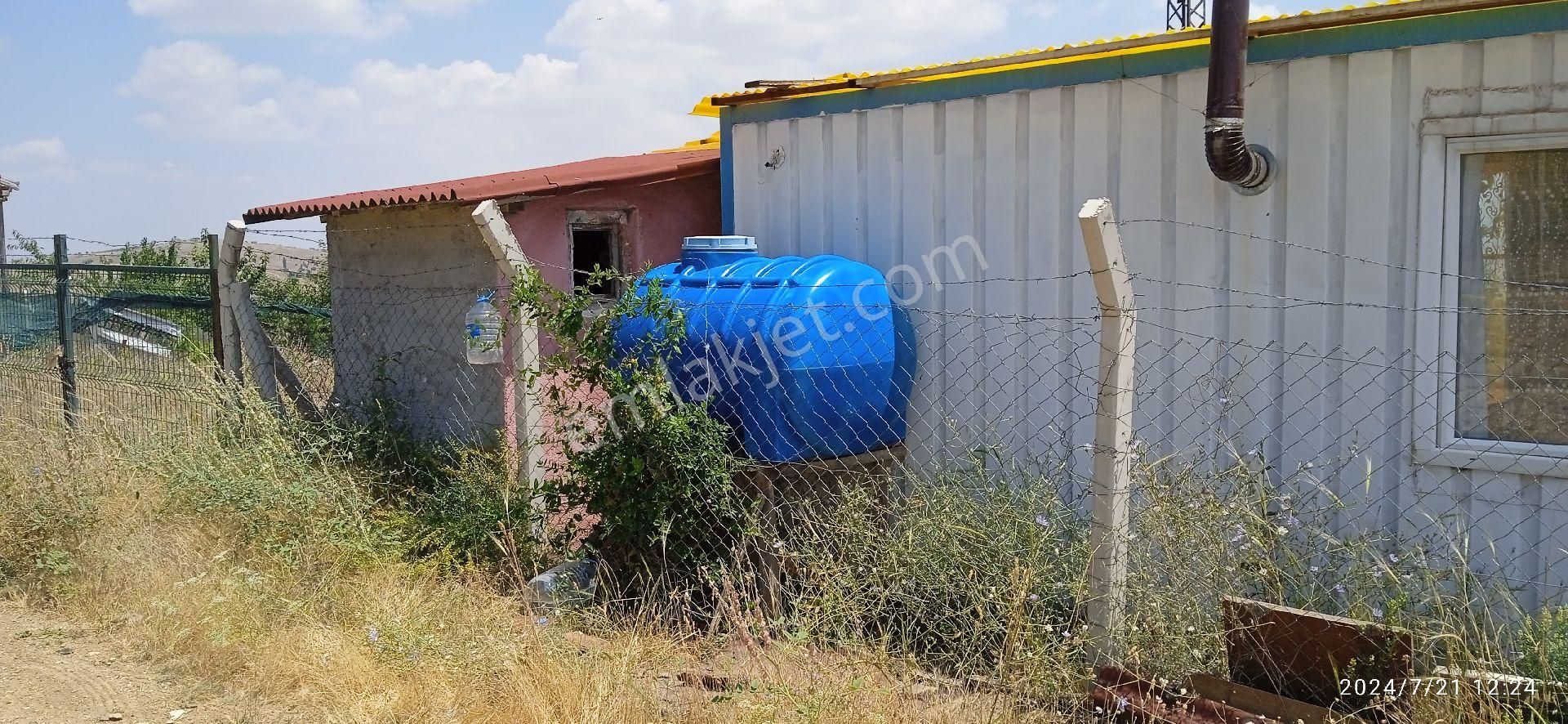 Sahibinden Çamlık Yanı Hazır Bahçe - Görsel 23