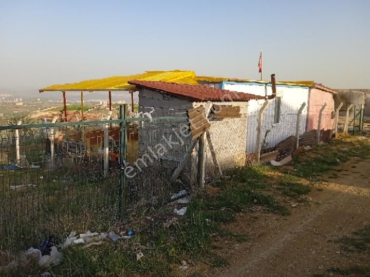 Sahibinden Çamlık Yanı Hazır Bahçe - Görsel 12