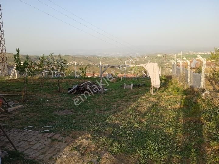 Sahibinden Çamlık Yanı Hazır Bahçe - Görsel 7