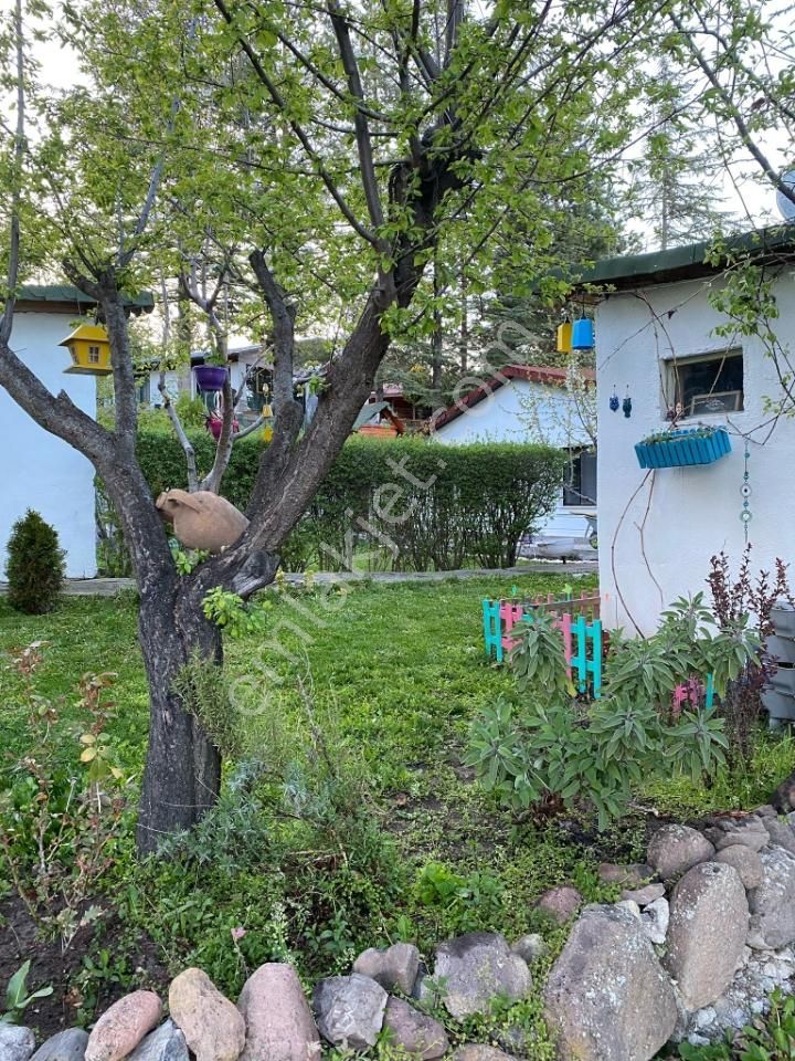 Manzaralı Kışlık - Yazlık Dağ Evi
