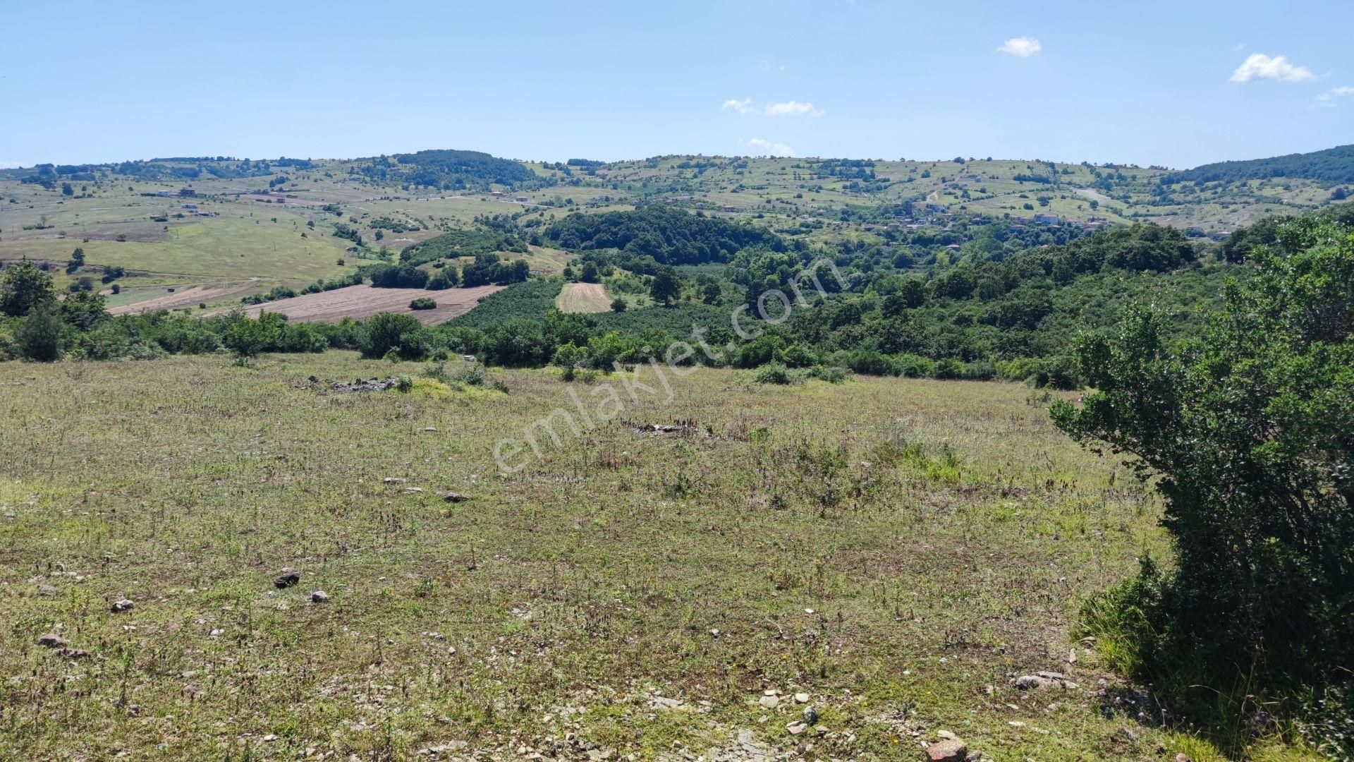 Kandıra Mükemmel Konumda 11076 M2 Asfalt Cepheli Şekli Düzgün - Görsel 2