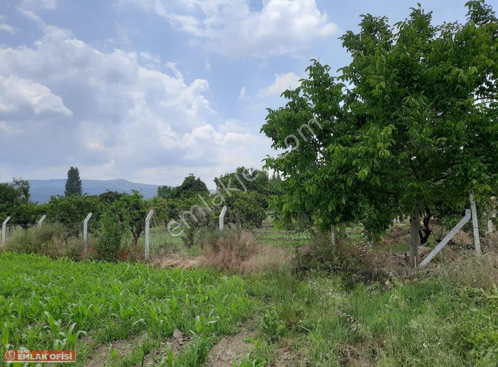 Söke Emlak Ofisinden Bağarasın Da Satılık Bahçe - Görsel 4