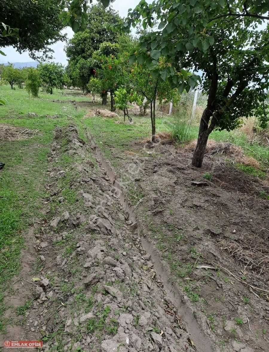 Söke Emlak Ofisinden Bağarasın Da Satılık Bahçe - Görsel 6