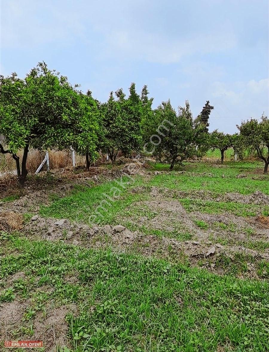 Söke Emlak Ofisinden Bağarasın Da Satılık Bahçe - Görsel 9