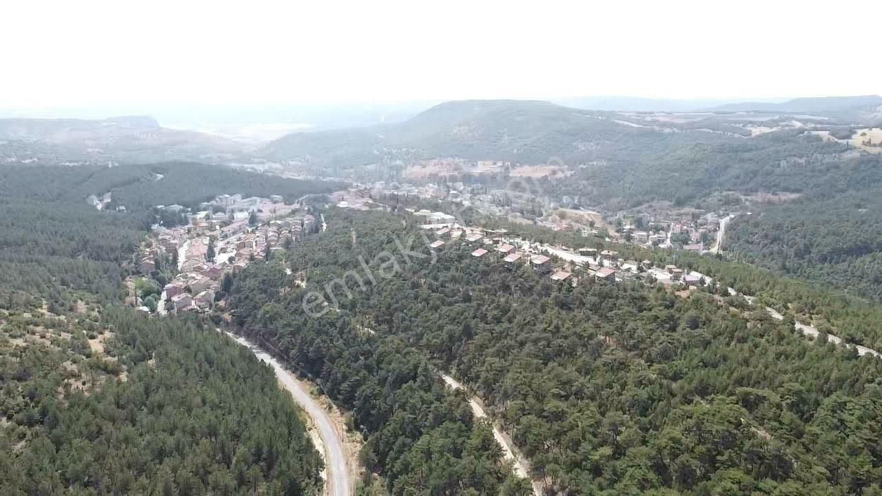 Kütahya Merkez Yazlıca Köyü Satılık Tarla Kütahya Merkez Ilıca Kaplıcalarına 500 Metre Mesafede Tarla