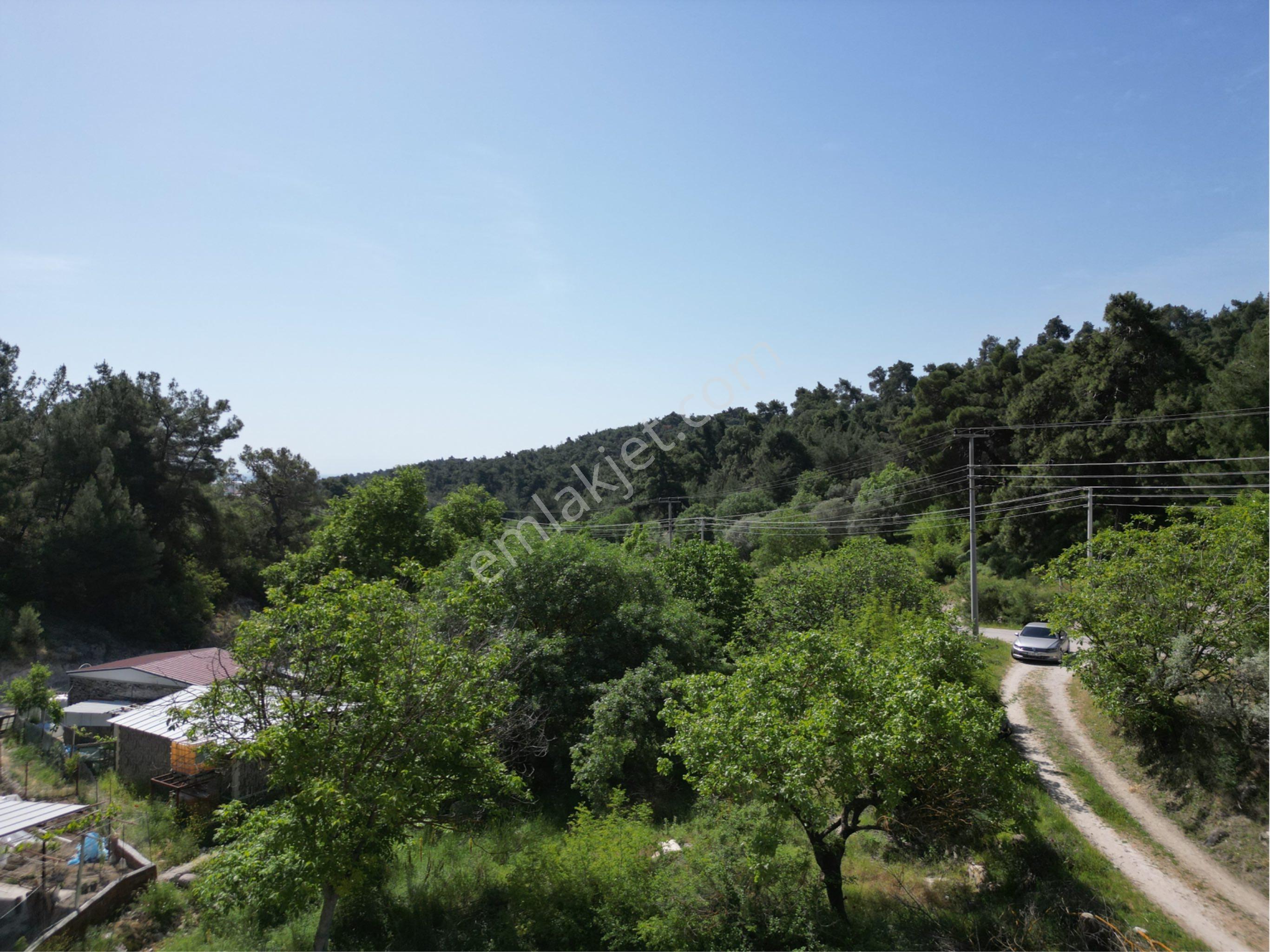Beyaz Gayrımenkulden Çınarlıkuyu Mh De Satilik 644 M2 İmarlı Arsa - Görsel 33