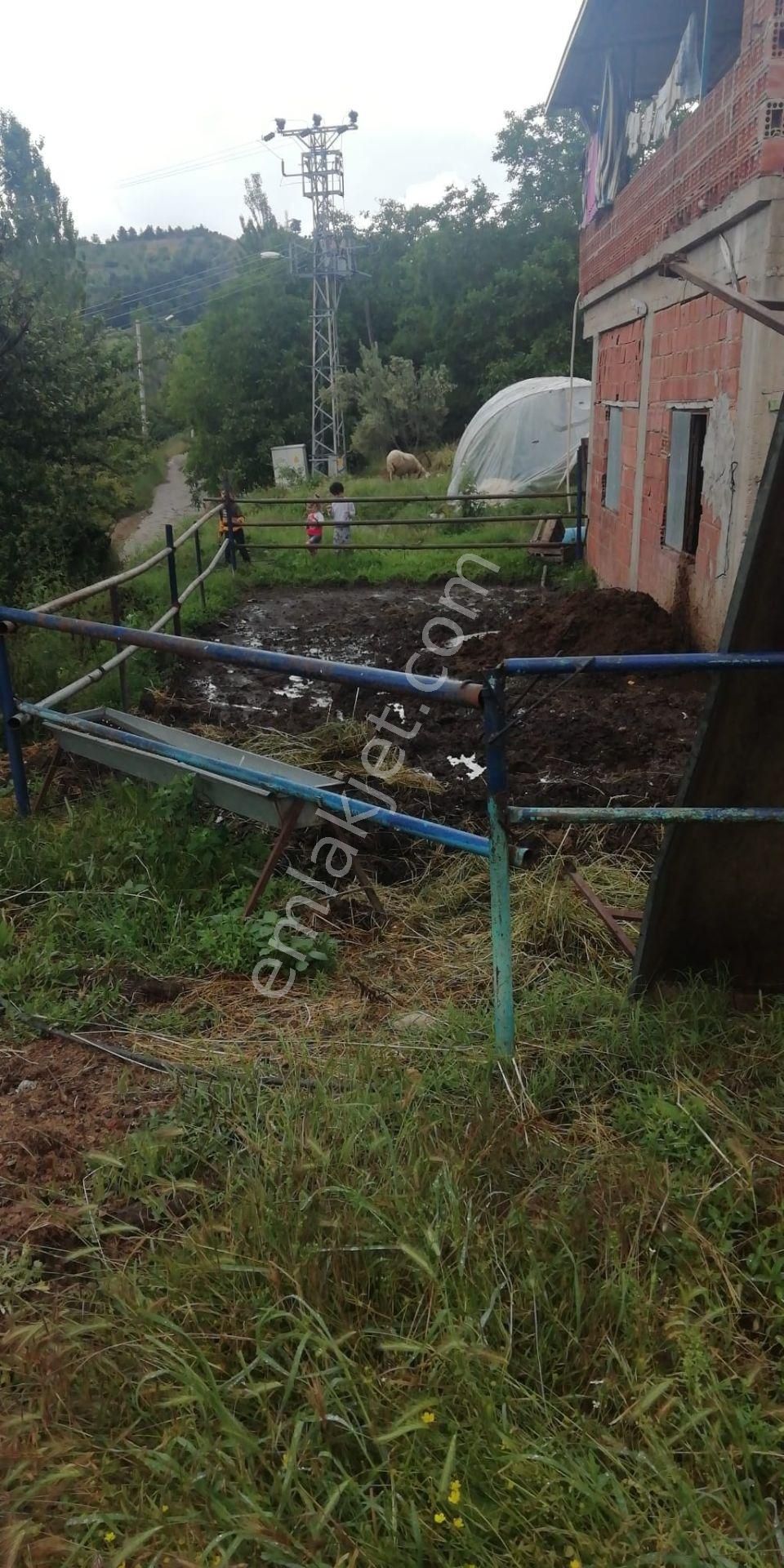 Aşağı Yakacık Köyünde Satılık Bahçe - Görsel 5