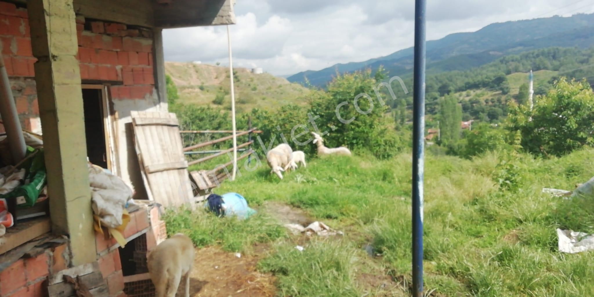 Aşağı Yakacık Köyünde Satılık Bahçe - Görsel 6