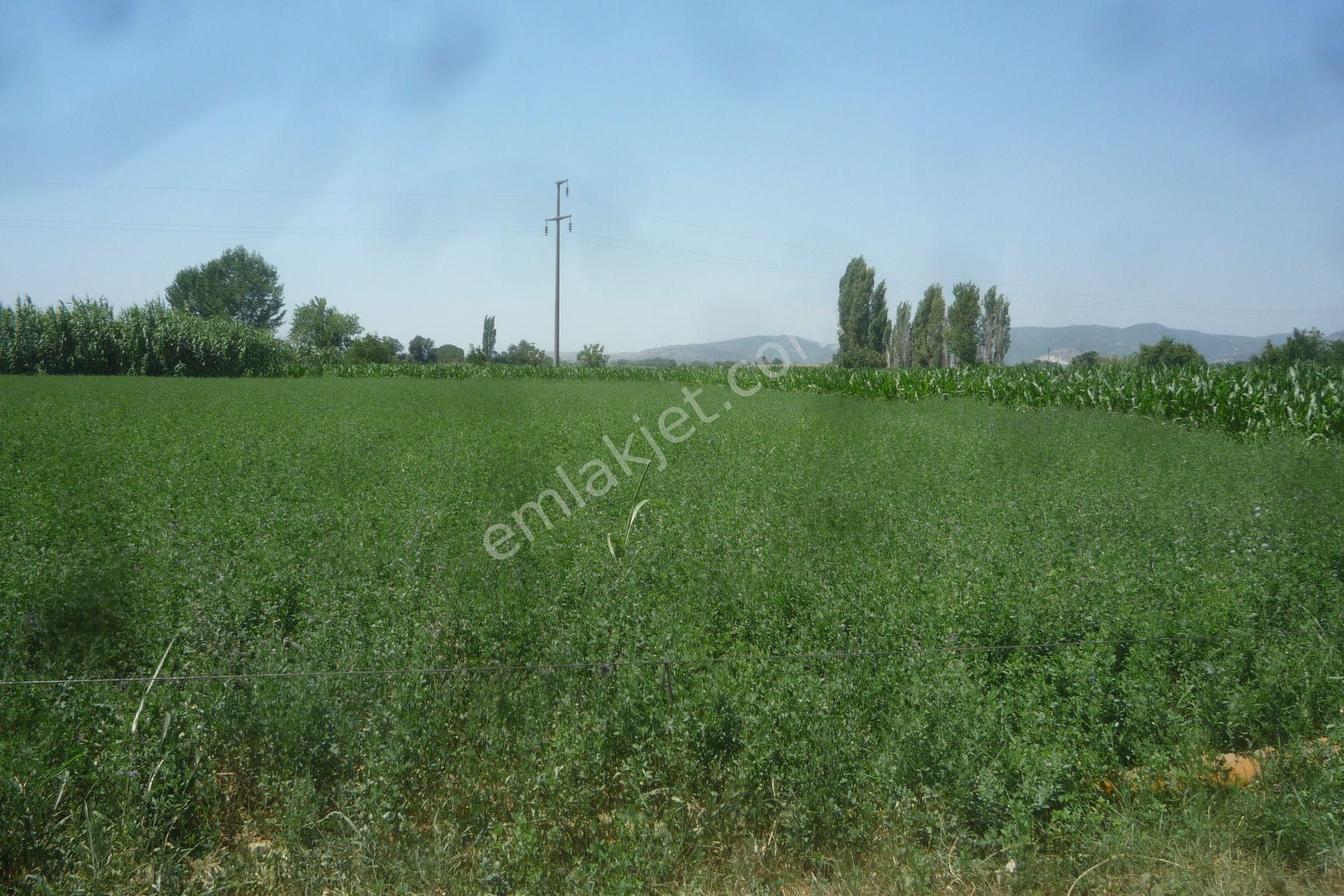 İzmir Torbalı Gold Emlaktan Satılık Kıymetli Tarla.. - Görsel 3