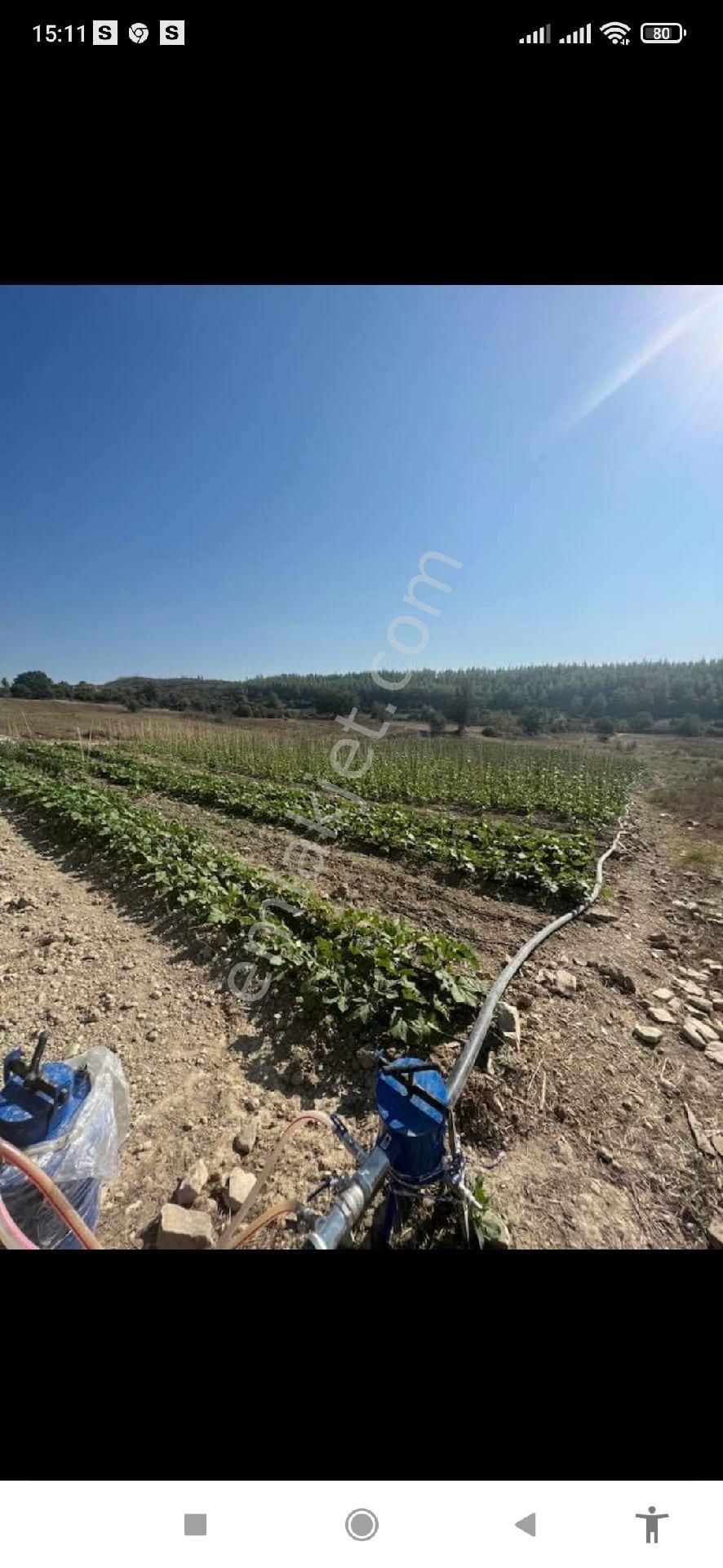 Manavgat Çardakköy Satılık Konut İmarlı Mg Emlak Tan Satılık Arsa