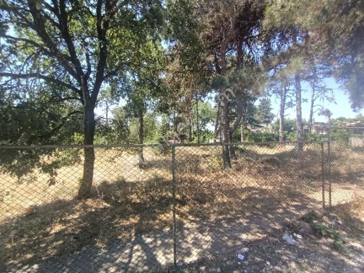 Ena Group Bursa Mudanya Çağrışan'da 1200 M2 Villa İmarlı Arsa - Görsel 5